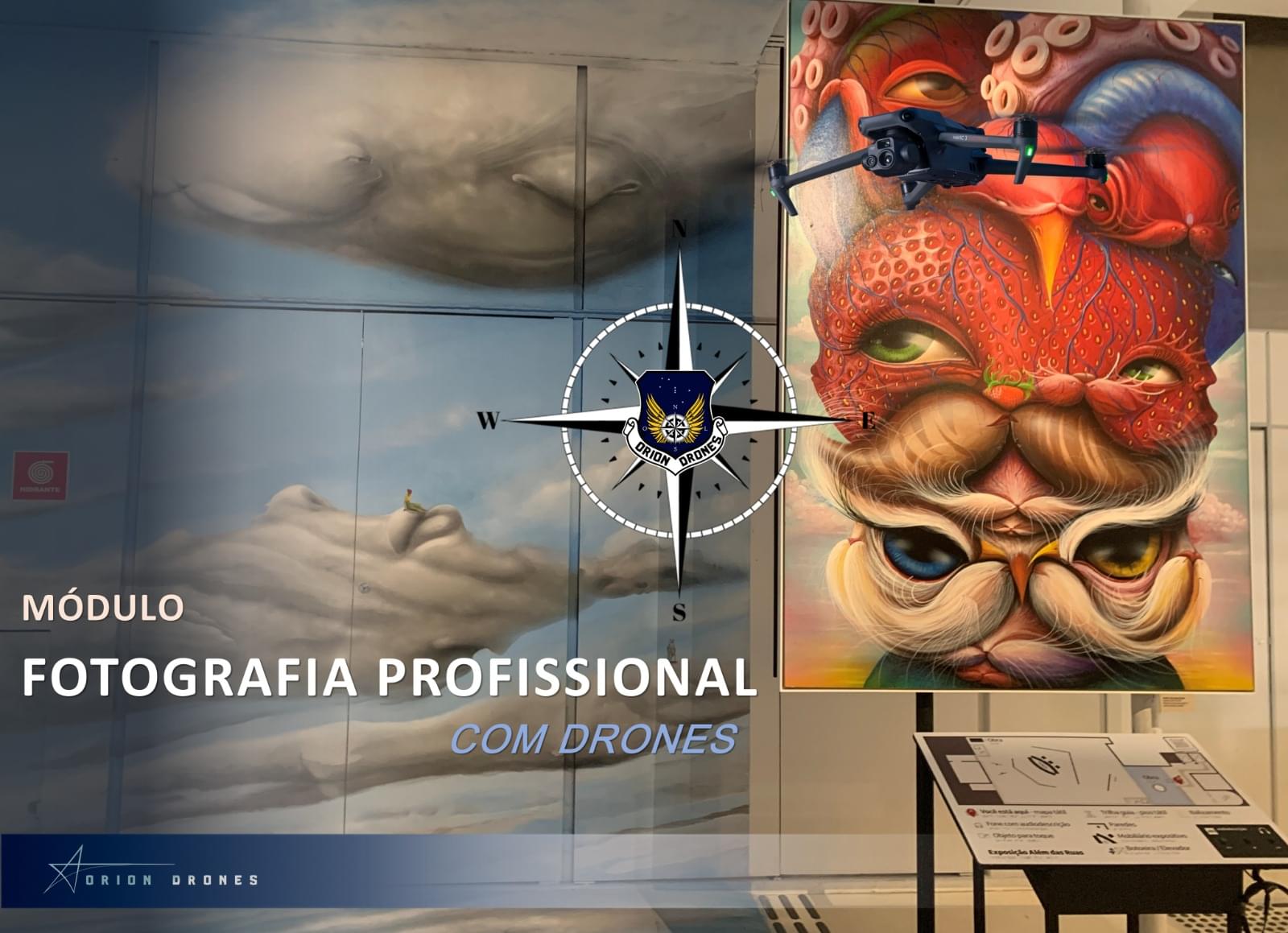 Fotografia Profissional com Drones